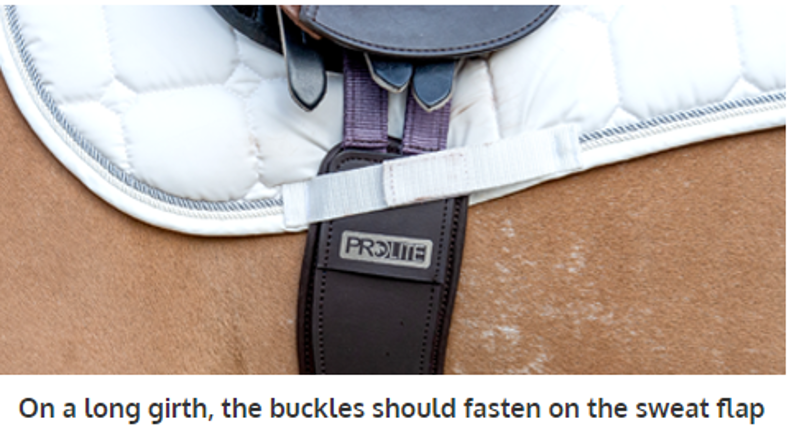 Prolite Long Girth Pony Brown-4